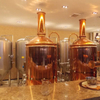 Пивоварня 300л / ресторан Медное оборудование для пивоваренного завода Комплектное оборудование для домашнего пивоварения